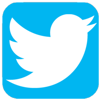 Logo Twitter